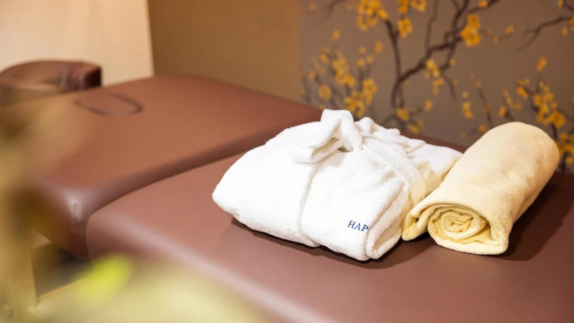 Hapimag Resort Budapest Hungary